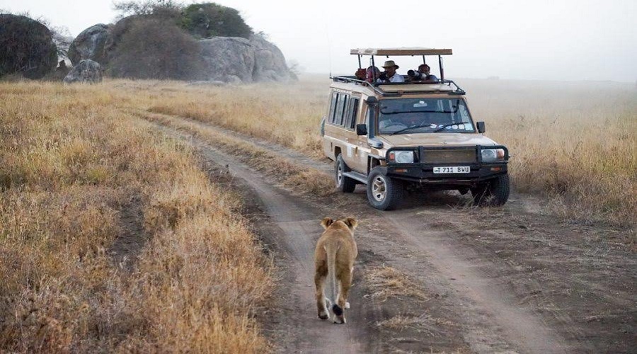 Tanzania Safari with Zanzibar